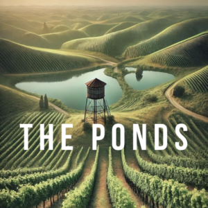 The Ponds